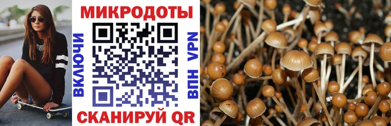 Псилоцибиновые грибы GOLDEN TEACHER  omg сайт  Чердынь 